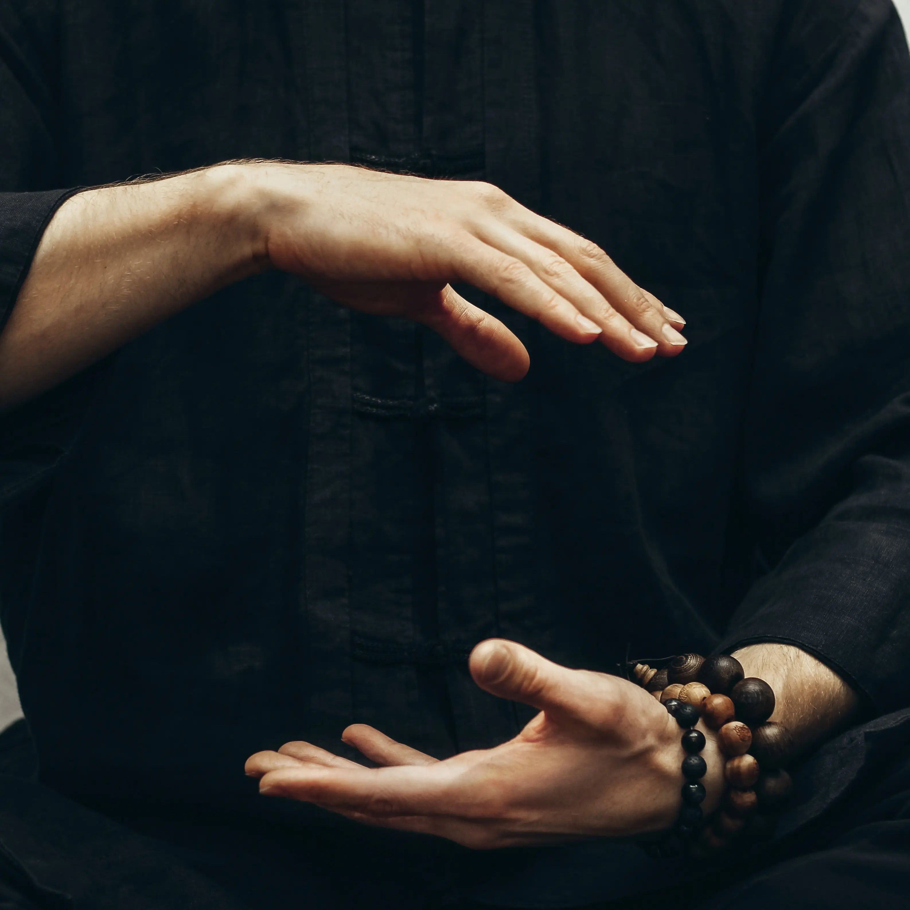 Wudang Tai Chi Internal Strength Exercises