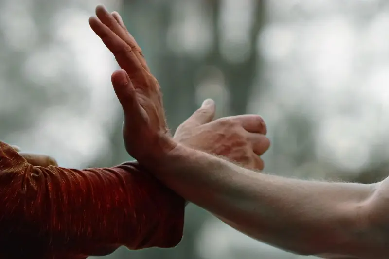 Wudang Tai Chi Push Hands Practice