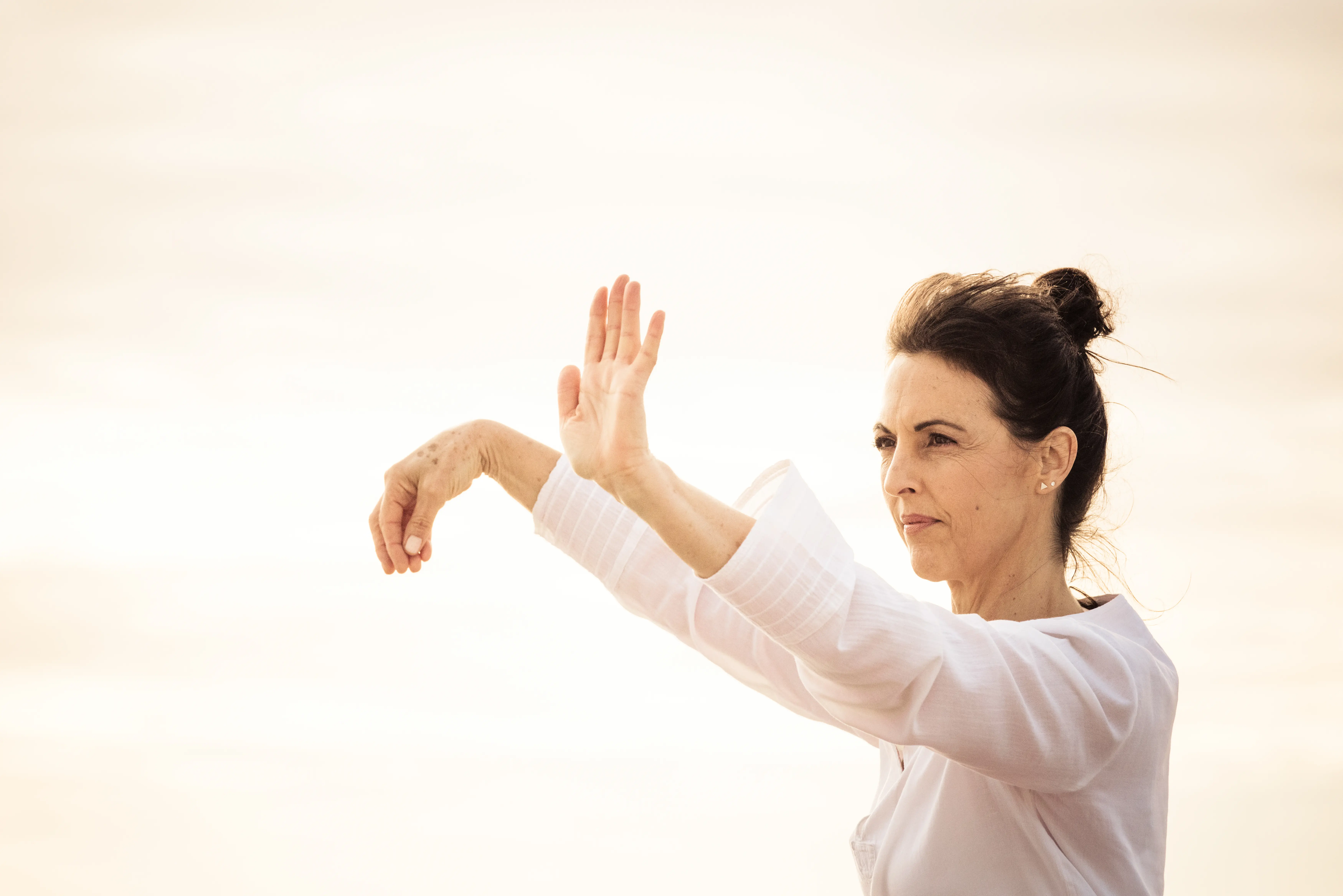 Wudang Tai Chi Introduction